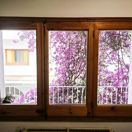 El Penell Apartament Llevant Vilamaniscle 外观 照片