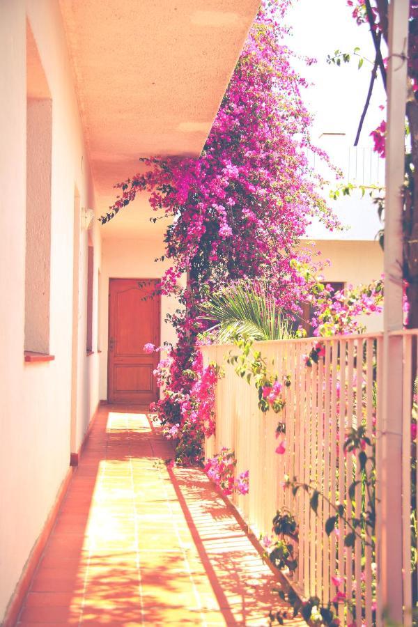 El Penell Apartament Llevant Vilamaniscle 外观 照片