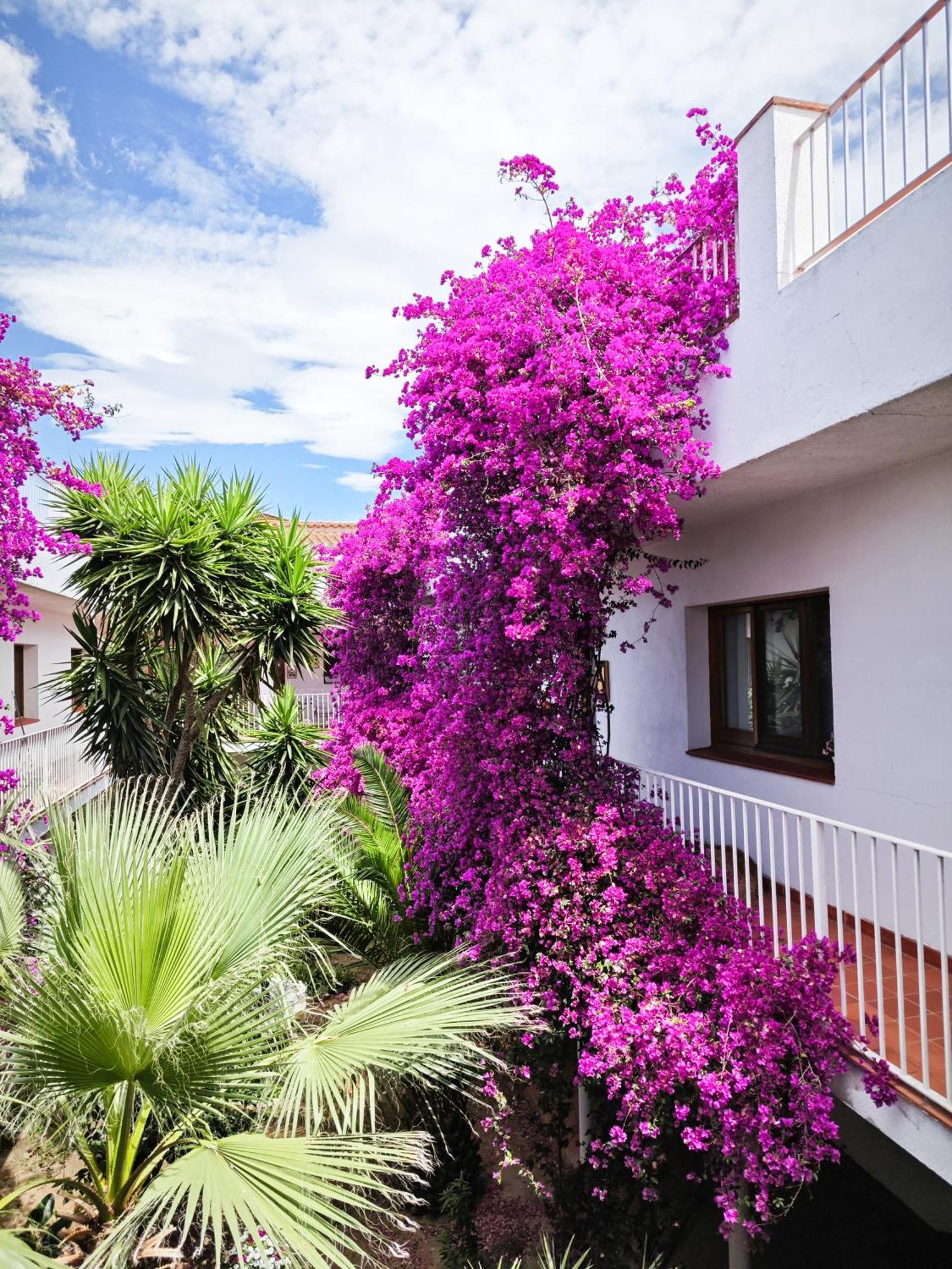 El Penell Apartament Llevant Vilamaniscle 外观 照片
